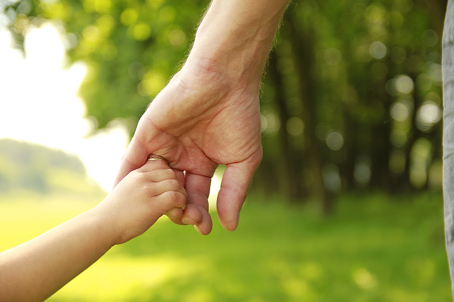 Parent Holds The Hand Of A Small Child